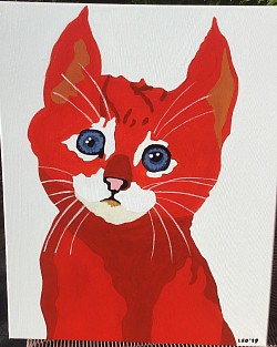 Poes 1  € 15,00 40 x50cm.