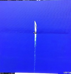 Witte boot50 x 50 cm. € 35,00.