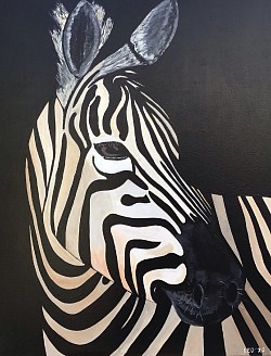 Zebra  60 x 80 cm.  € 65,00.  Verkocht.