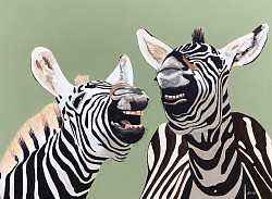 Lachende zebra’s. € 150,00100 x 80 cm.
