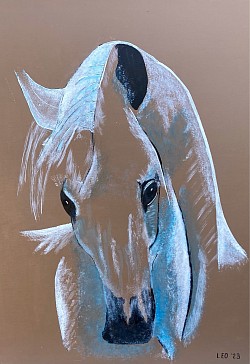 Paard. 50 x 70 cm.  € 50,00