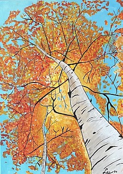 Boom. 50 x 70 cm.   € 50,00.